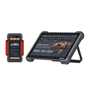 THINKTOOL EURO 394